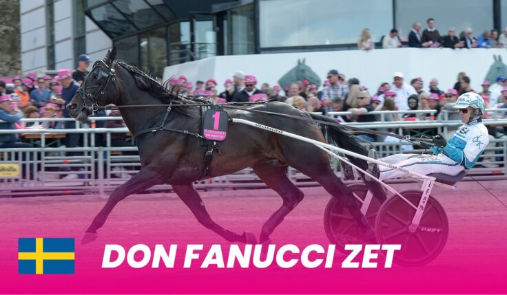 Don Fanucci Zet tog direktplats till Elitloppet 2025