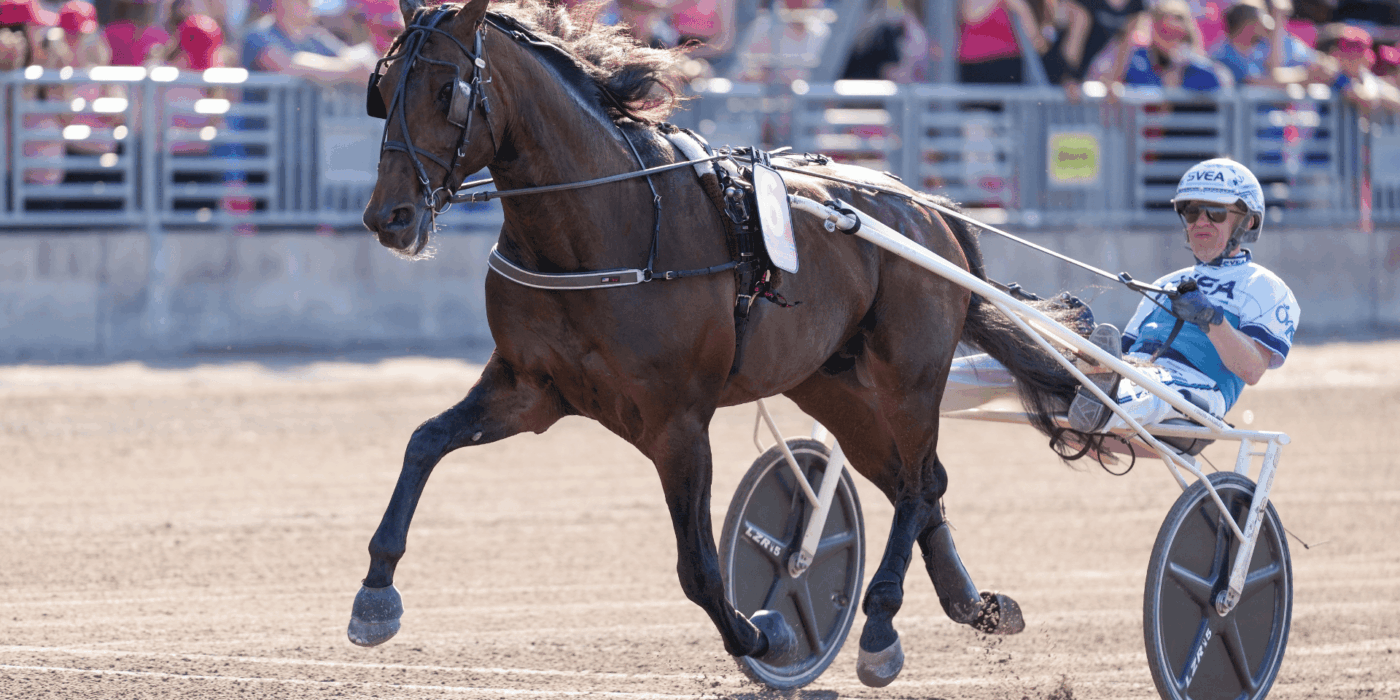 Så blev spårlottningen till Elitloppet 2025