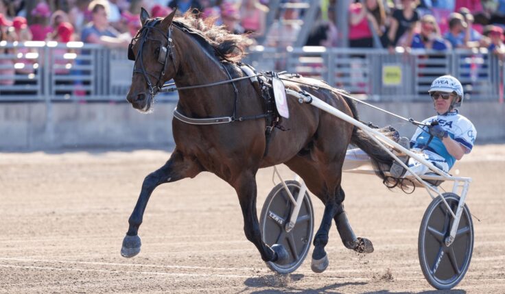 Så blev spårlottningen till Elitloppet 2025
