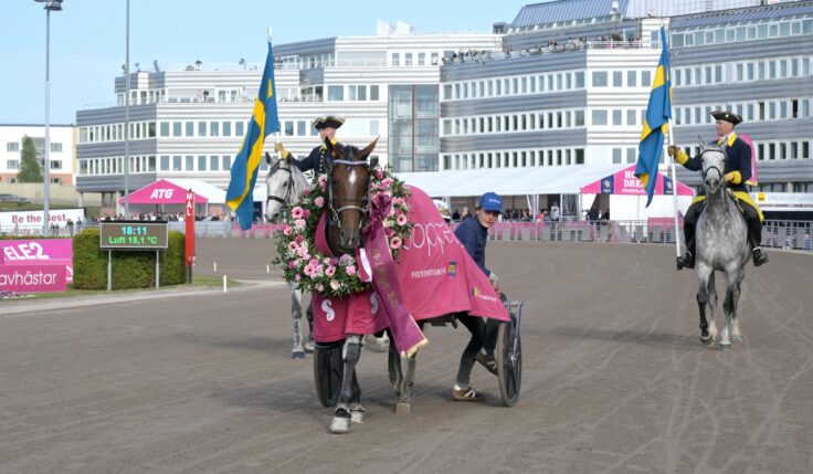 Tredje gången gillt för Go On Boy!