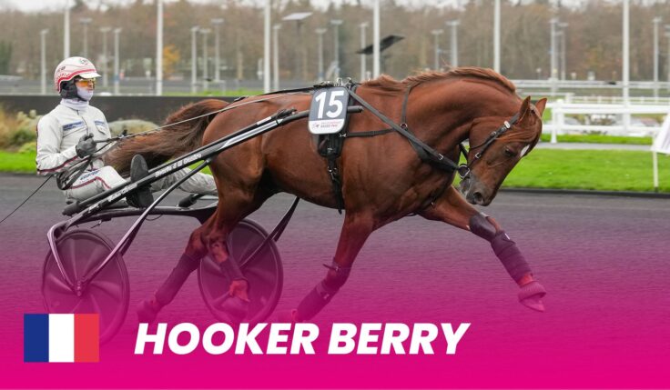 Hooker Berry tar plats i Elitloppet 2025 – startfältet spikat