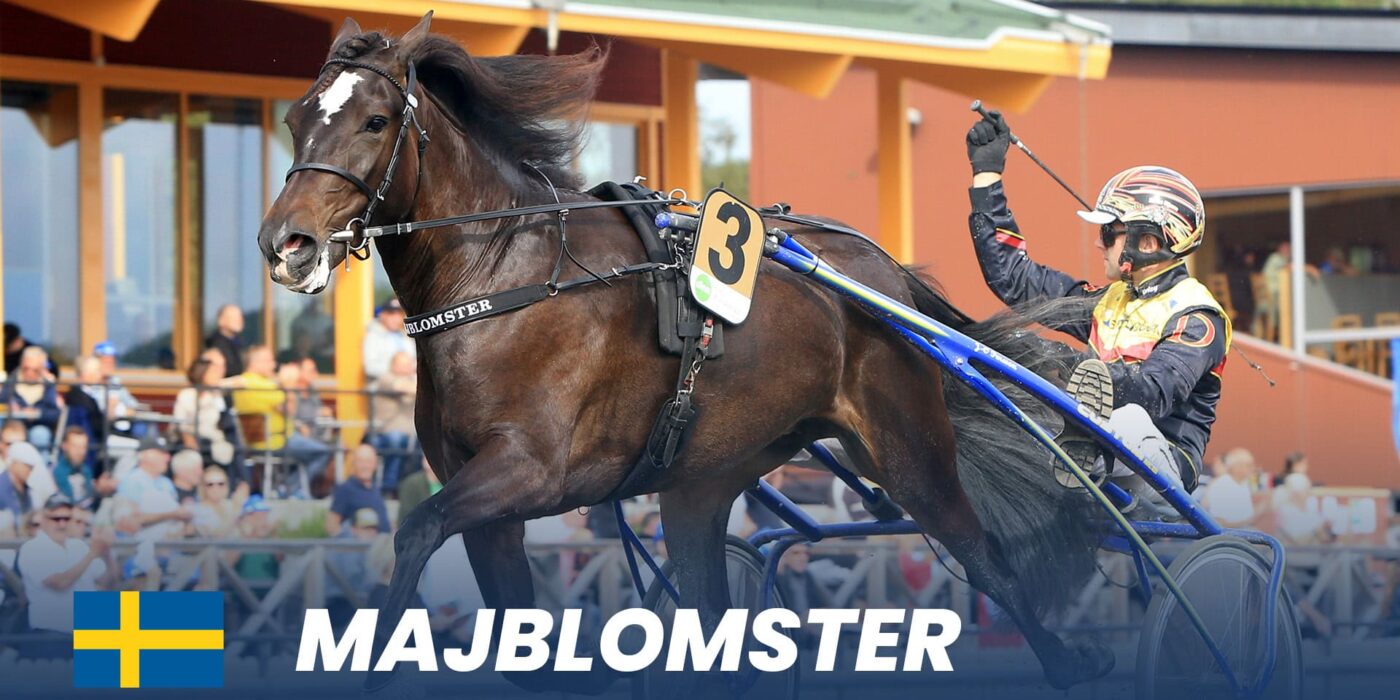 Klart för Elitkampen 2025 på Solvalla