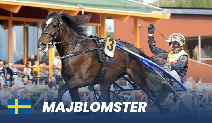 Klart för Elitkampen 2025 på Solvalla