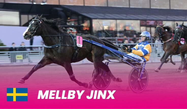 Mellby Jinx klar för Elitloppet – efter sylvass spurt i Finland