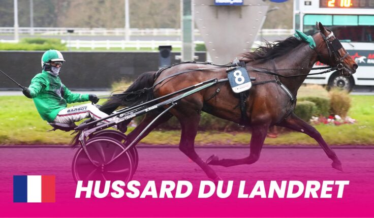 Hussard du Landret klar för Elitloppet 2025