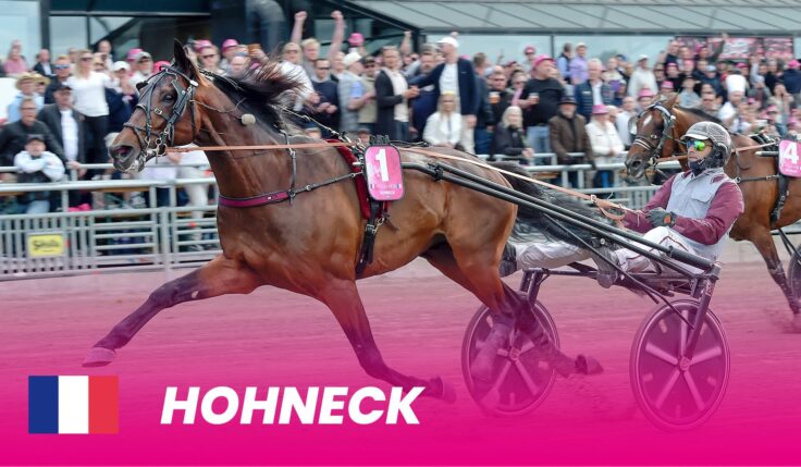 Vinnaren från 2023 gör comeback i Elitloppet