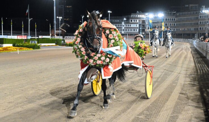 TOLV HÄSTAR I MARGARETA WALLENIUS-KLEBERGS POKAL