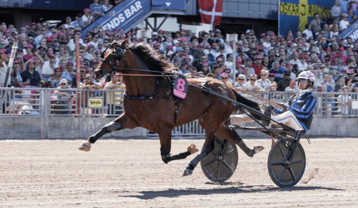 Idao de Tillard till Solvalla 11 oktober