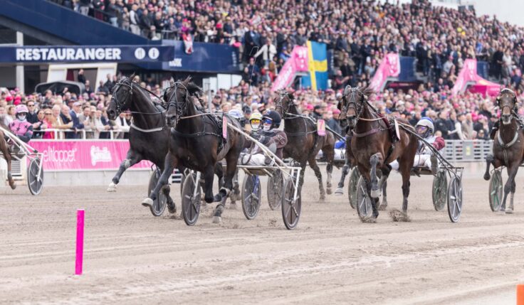 Internationella topphästar i final