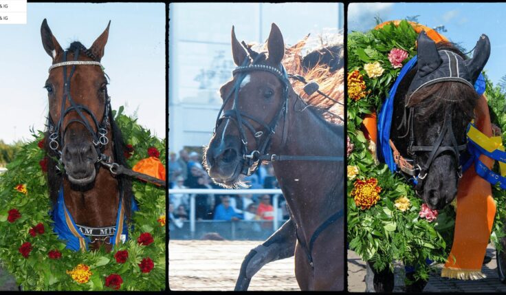 TRE DERBYSEGRAR TILL SOLVALLA