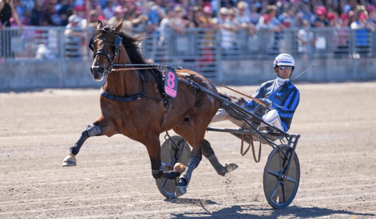 Elitloppsklass i oktober