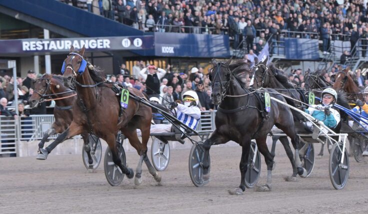 Världsklass på Solvalla