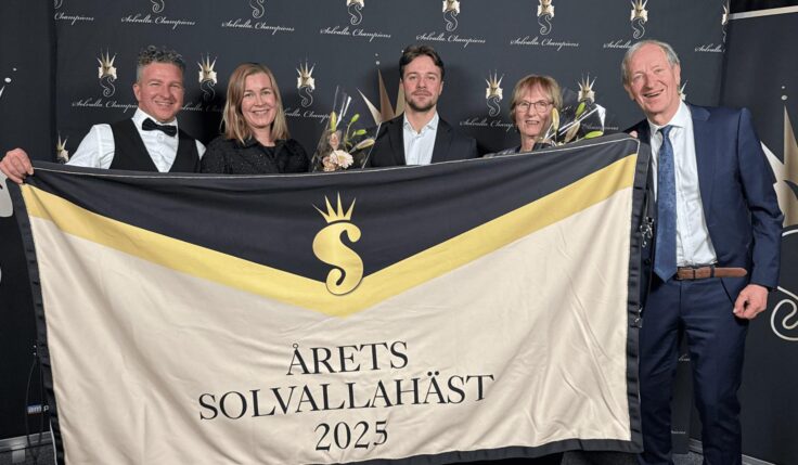 Dream Mine framröstad till Årets Solvalla-häst