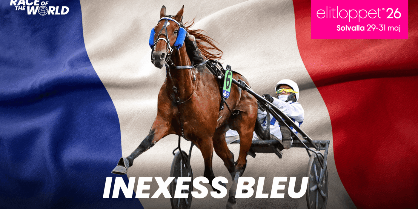 Inexess Bleu till Elitloppet