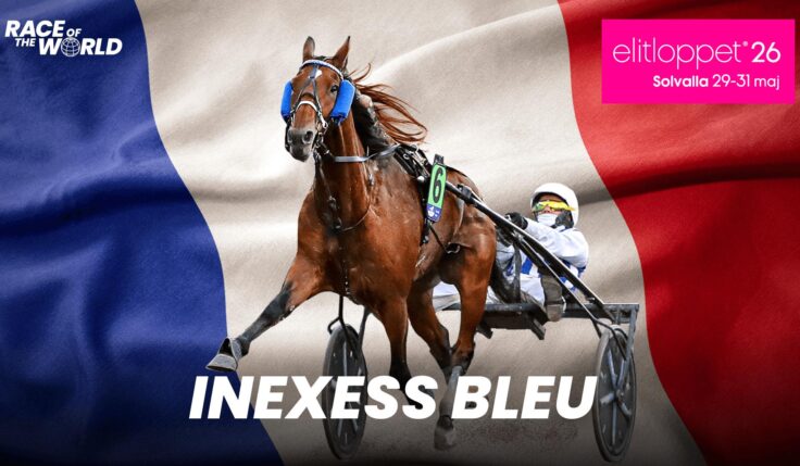 Inexess Bleu till Elitloppet