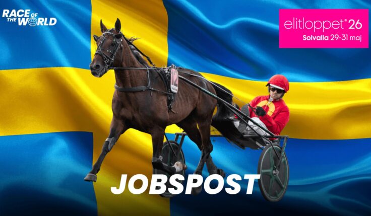 Jobspost till Elitloppet 2026