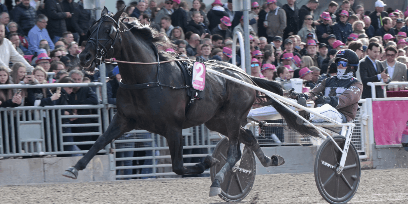 Don Fanucci Zet gör årsdebut i E-lopp