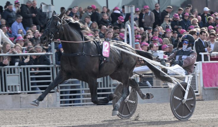 Don Fanucci Zet gör årsdebut i E-lopp