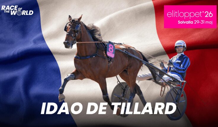 Idao de Tillard till Elitloppet!