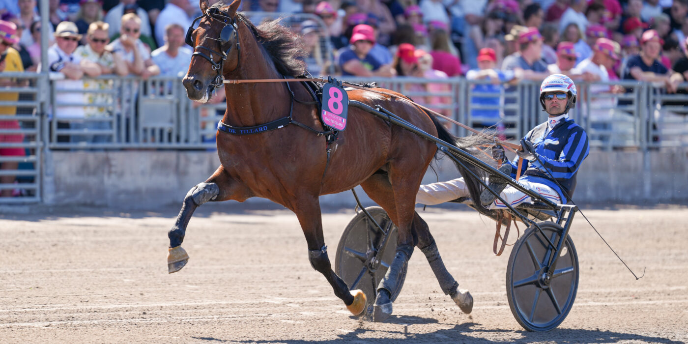Startlistorna till Elitloppsförsöken