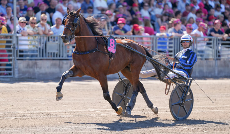 Startlistorna till Elitloppsförsöken