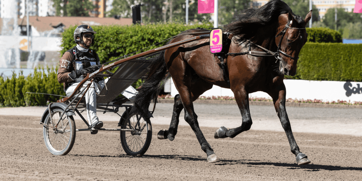 Francesco Zet till Elitloppshelgen!