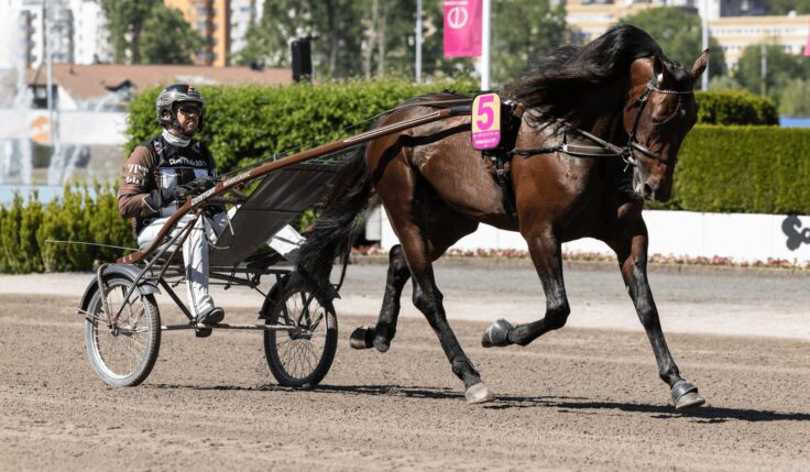 Francesco Zet till Elitloppshelgen!