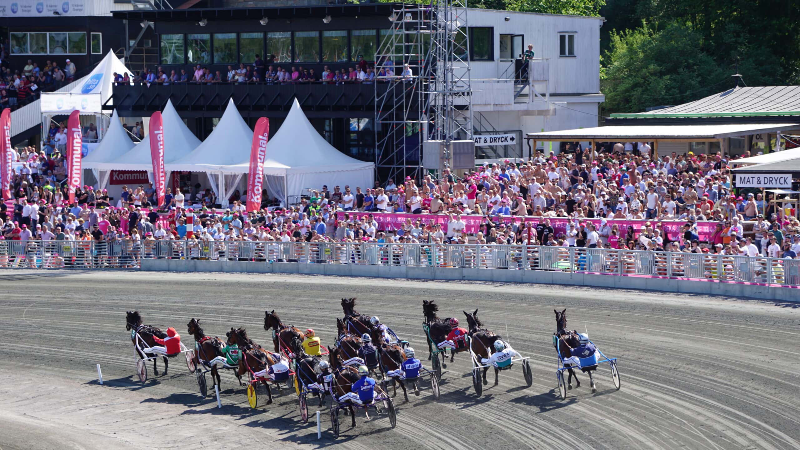 Elitloppet publikplats