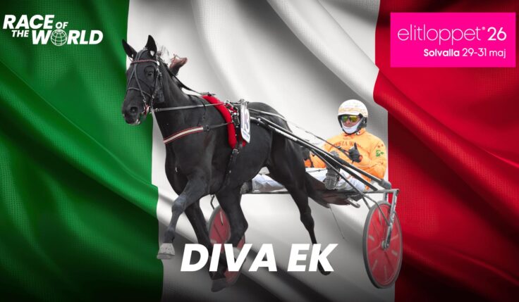 Gocciadoros toppsto till Elitloppet