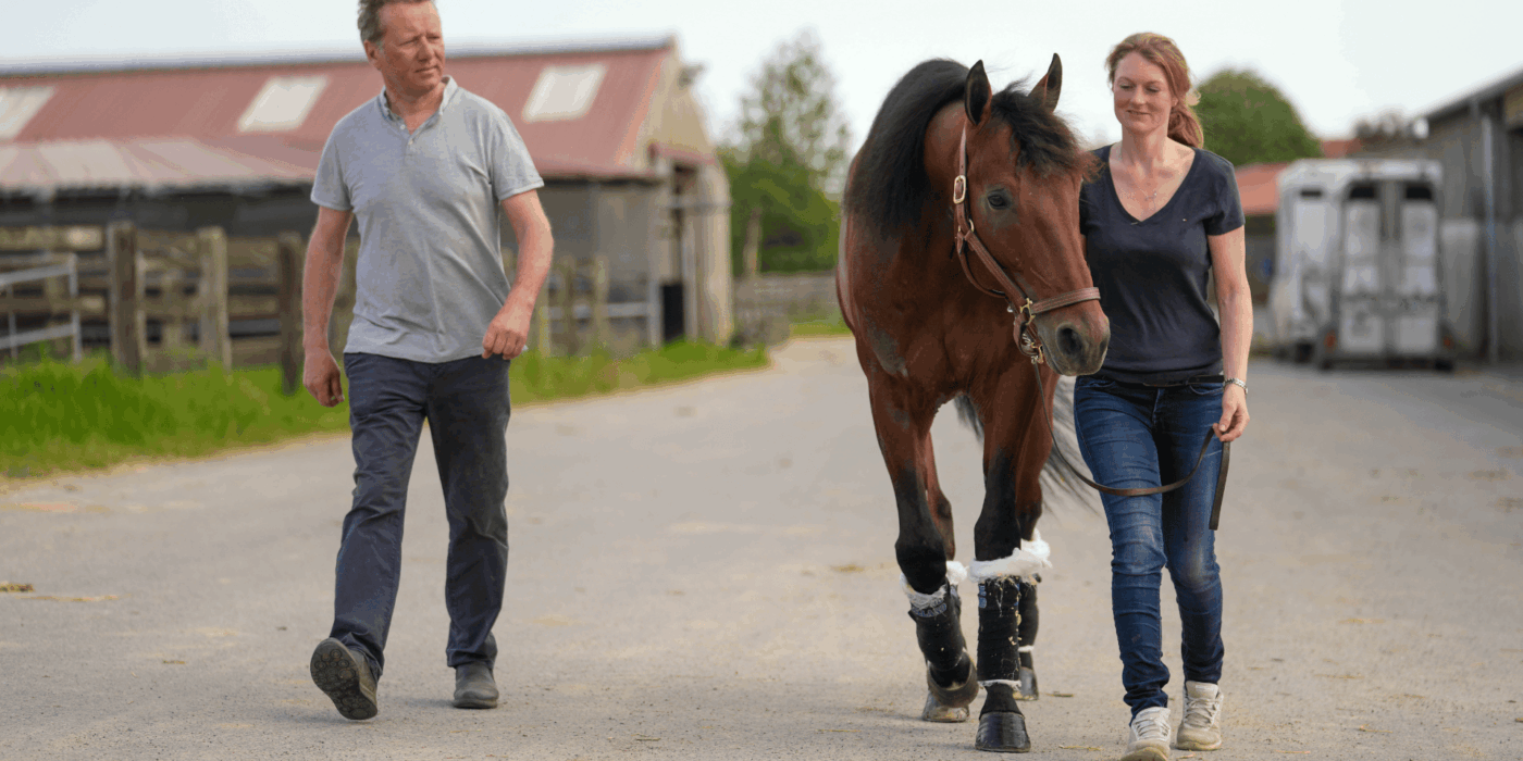 Hästarna som flyger till Elitloppet