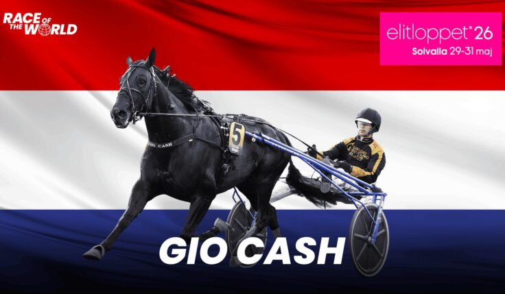 Dussinet fullt med Gio Cash!