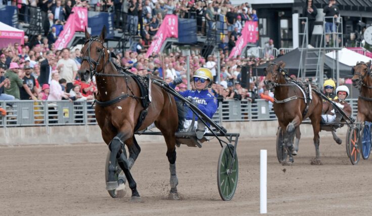 Fartfylld fest på Solvalla