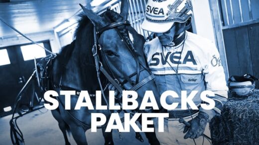 Stallbackspaket