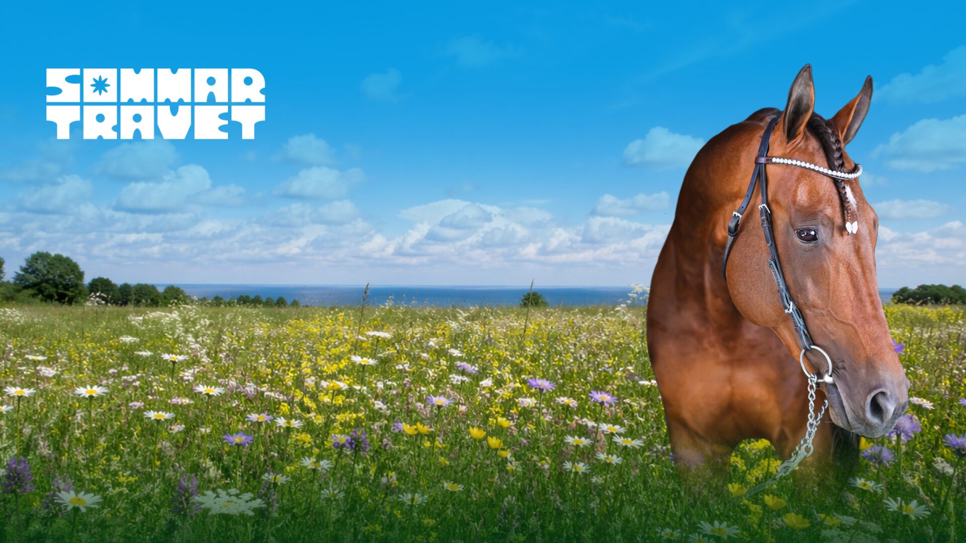 Sommartravet