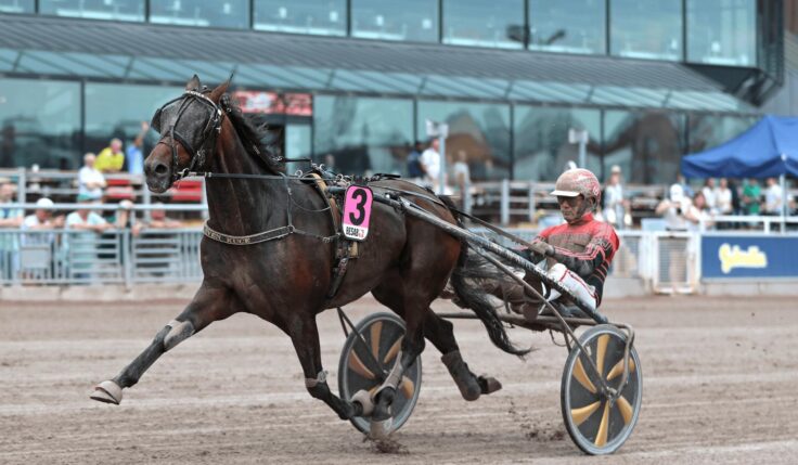 ÅRETS SISTA VINNARE I MARGARETAS TIDIGA UNGHÄSTSERIE