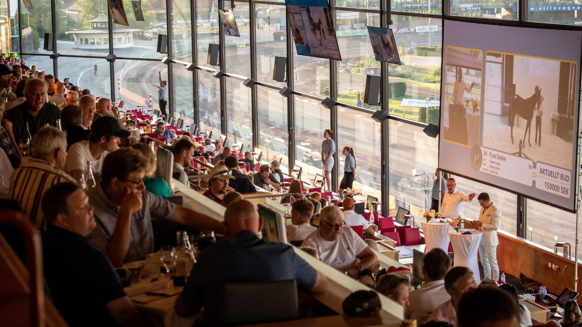 Solvalla Yearling Sale