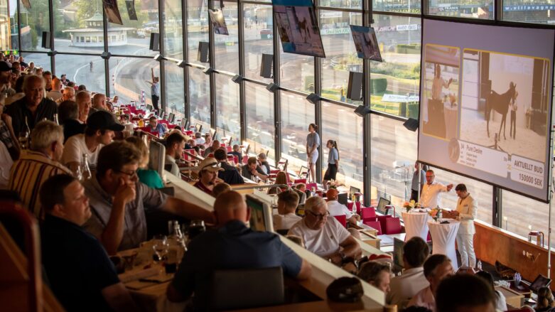 Solvalla Yearling Sale
